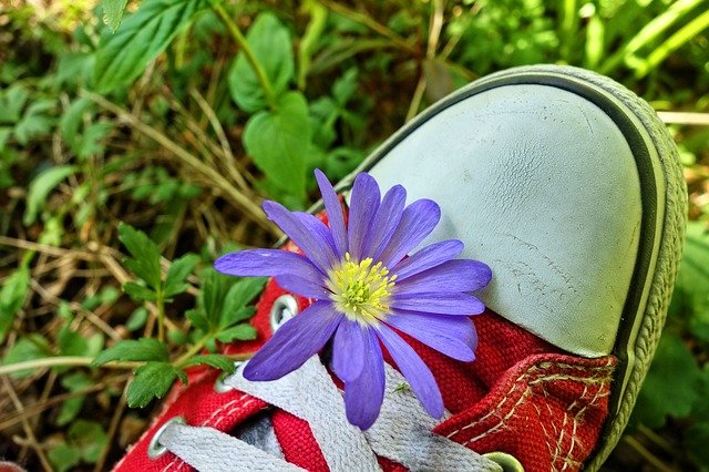 květ na botě.jpg